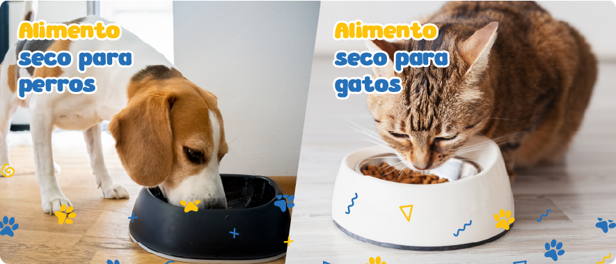 Un perro Beagle comiendo de un plato negro a la izquierda y un gato atigrado comiendo de un plato blanco a la derecha, con el texto 'Alimento seco para perros' y 'Alimento seco para gatos' en la parte superior.