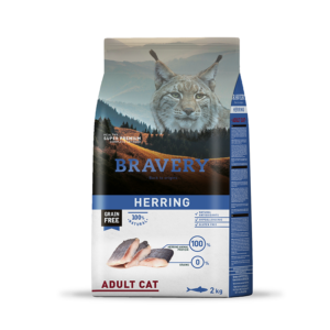 Bravery herring adult cat
