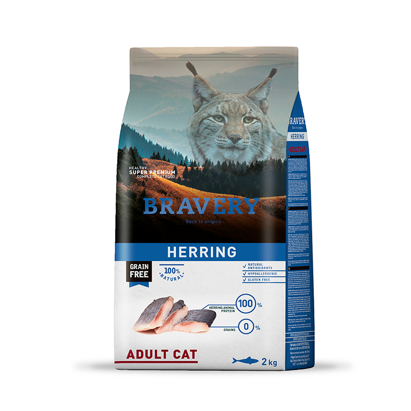 Bravery herring adult cat